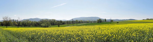 Godziszów-towards-Goleszów