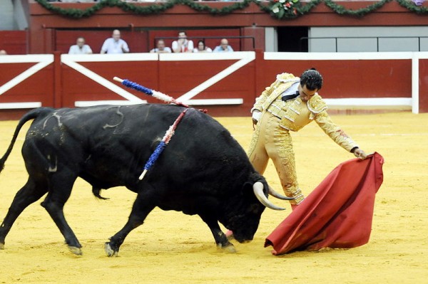 Iván Fandiño al natural en San Sebastian (España) by ivanfandiño.net