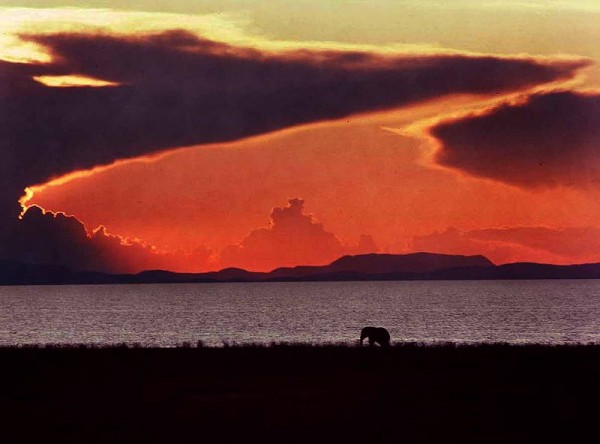 Zimbabwe Sunset. Photo by Steve Evans.