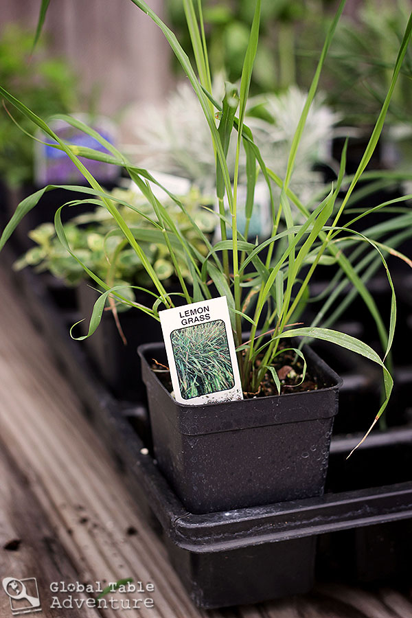 garden.gift.baskets.img_4185