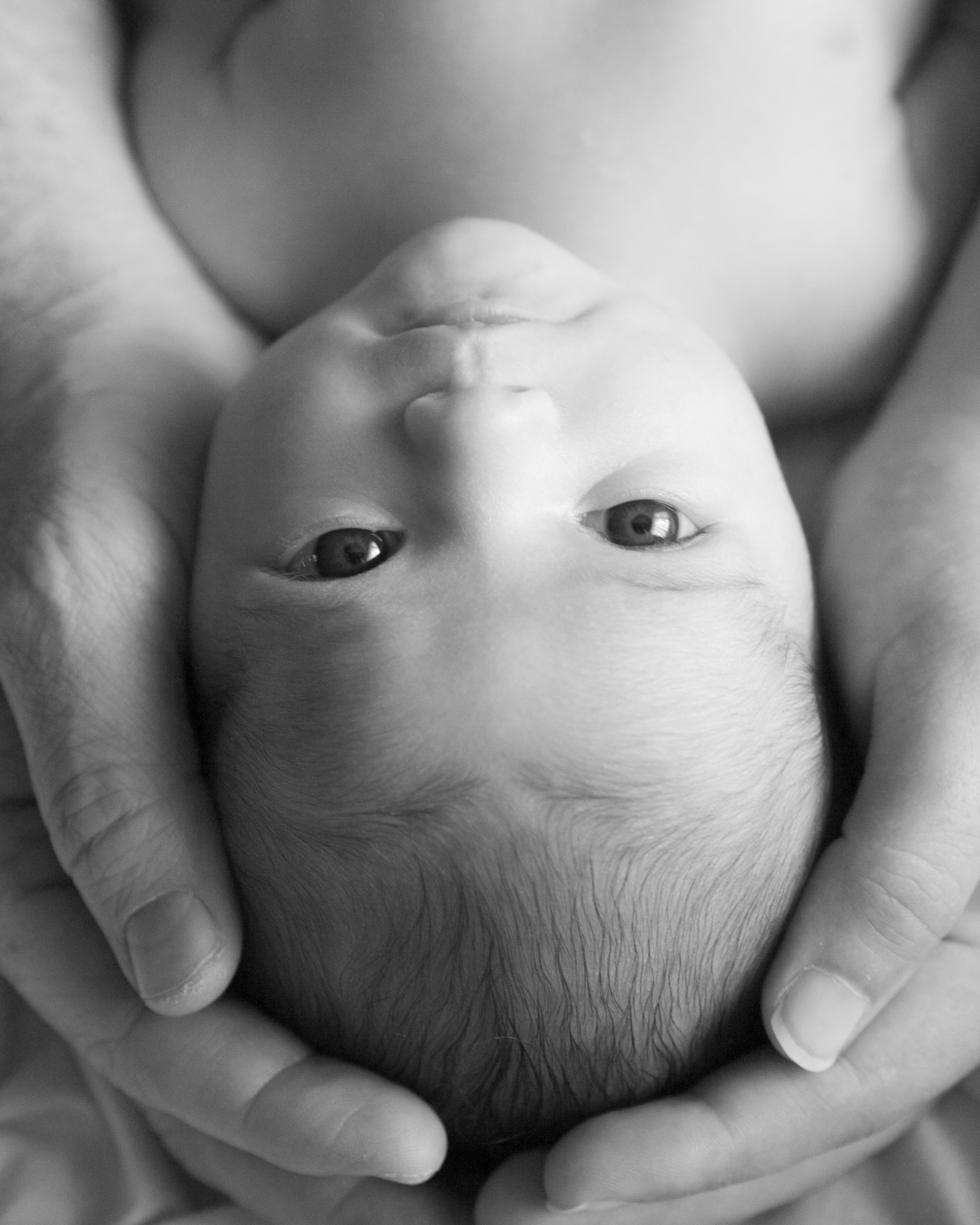 Photo by Rebekah Shannon.