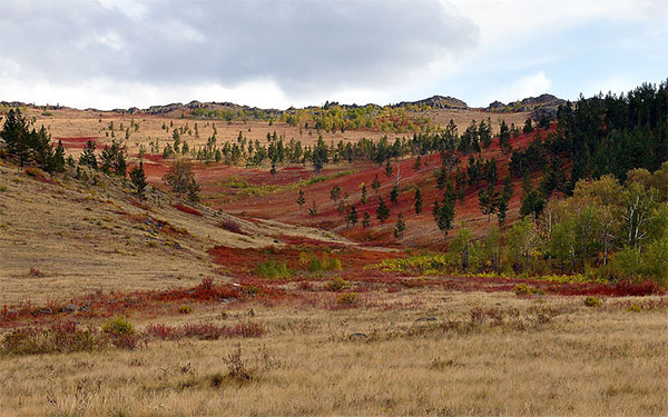 Karkaraly National Park. Photo by S. Reznichenko.