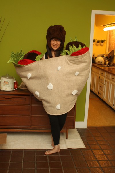 Falafel Costume (16 Halloween Costumes Made from the World’s Most Iconic Foods)