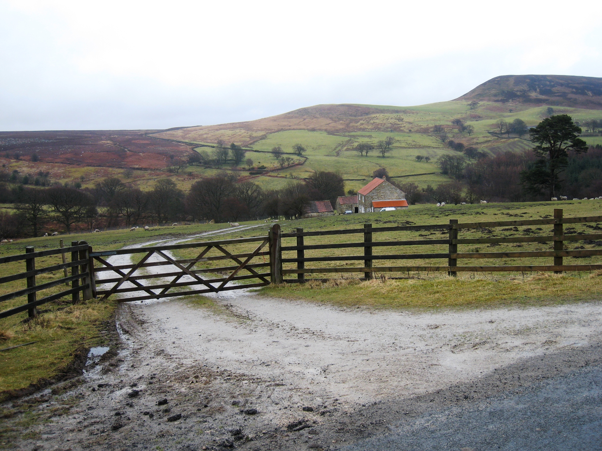 By Philip Barker, CC BY-SA 2.0, https://commons.wikimedia.org/w/index.php?curid=14557901